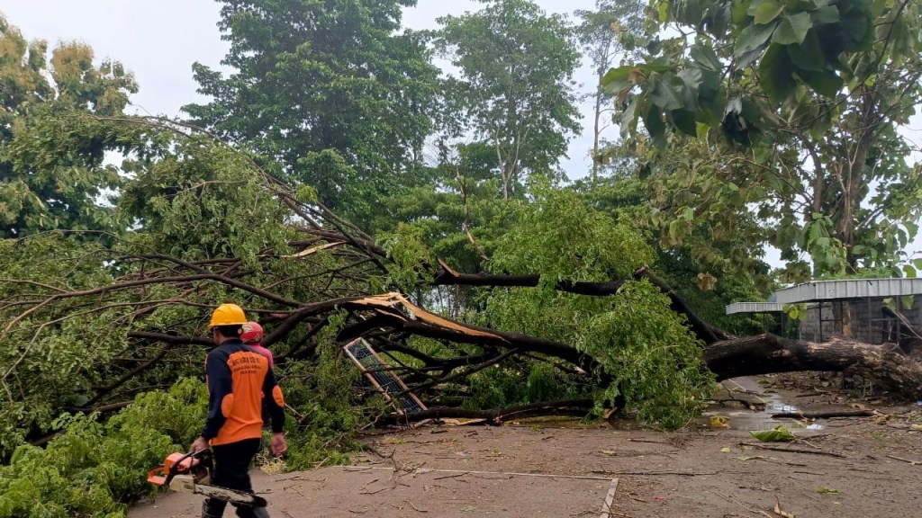 Hujan Angin Terjang Pare dan Sekitarnya, Pohon Tumbang Rumah&nbsp;Rusak