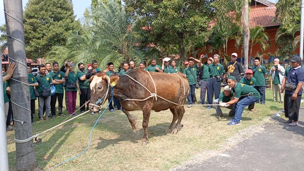 DKPP dan JULEHA Beri Pelatihan Penyembelihan kepada Takmir Masjid di Kota&nbsp;Kediri