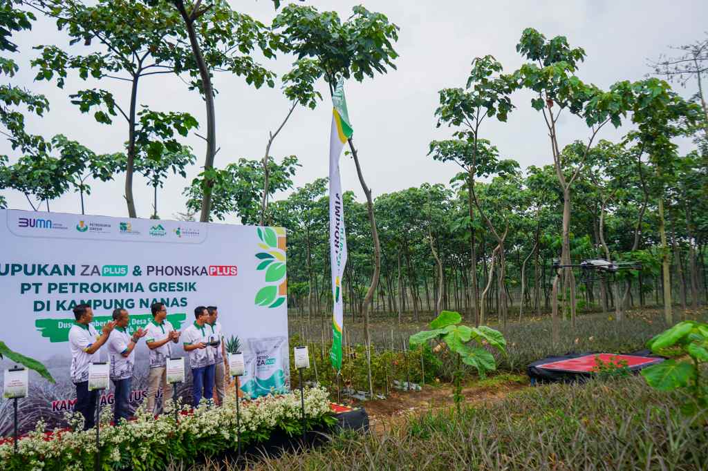 Program Kampung Makmur, Dorong Produktivitas Petani Nanas di&nbsp;Kediri