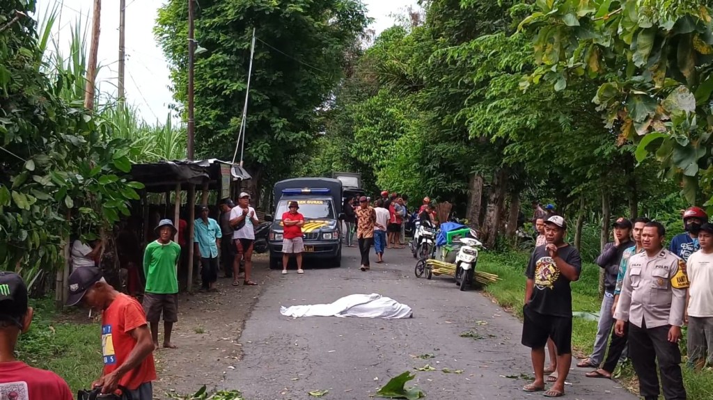 Pemotor asal Jombang Tewas Tertimpa Pohon Sengon di&nbsp;Kediri