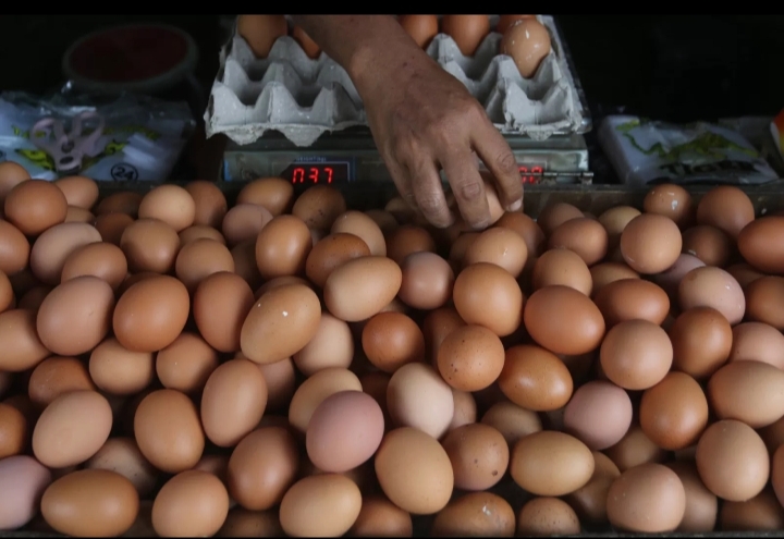 Tak hanya cabai,harga telur di pasar Trenggalek juga ikut&nbsp;naik