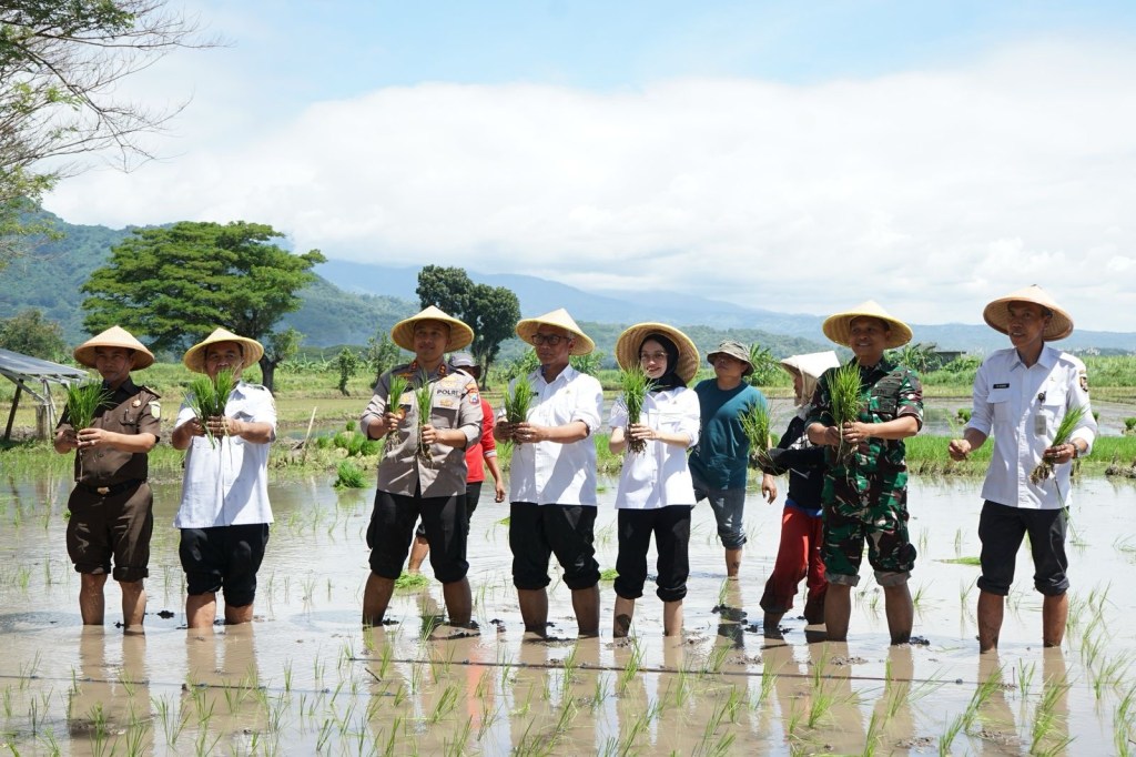 Dukung Program Ketahanan dan Swasembada Pangan, Mbak Vinanda Tanam Padi Bersama Forkopimda di&nbsp;Ngampel