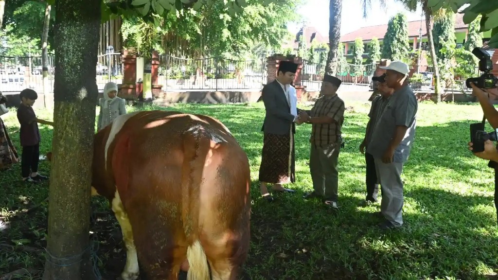 Bupati Trenggalek Serahkan Sapi Kurban untuk Korban Longsor di Hari Raya Idul&nbsp;adha