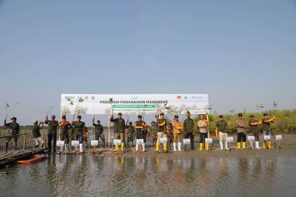 Hijaukan Pesisir Pantai, Pelindo Regional 3 Tanam 147.400 Bibit Mangrove di&nbsp;Bangkalan