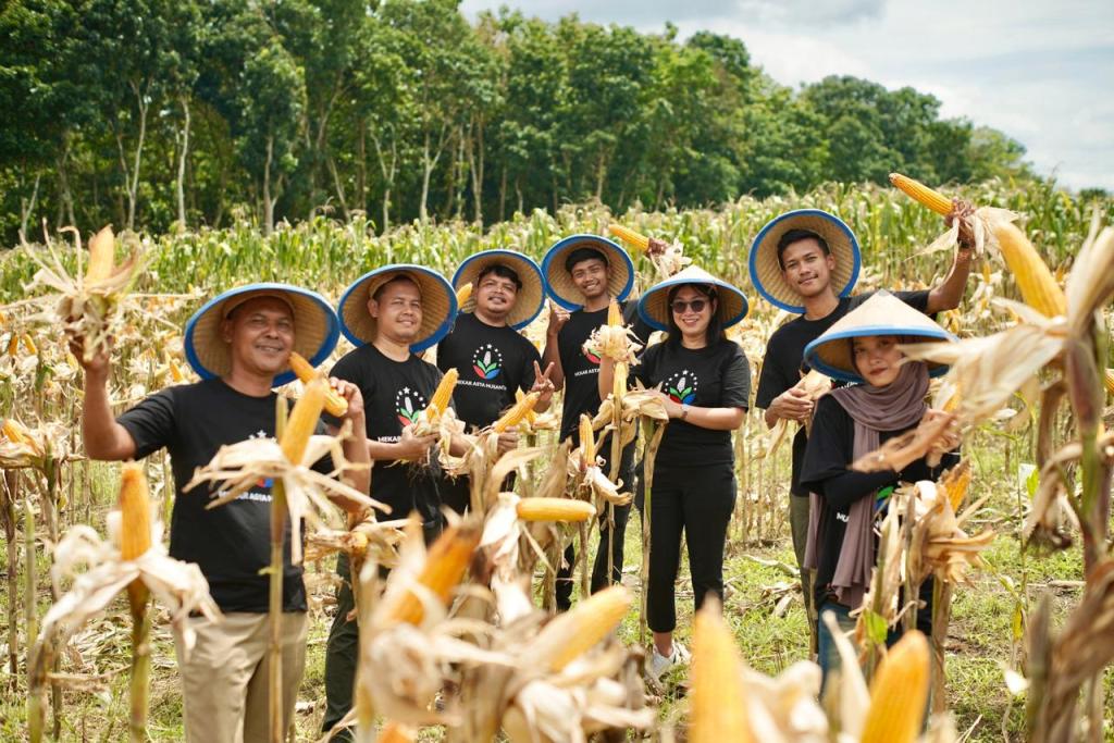 Panen Perdana Jagung Program Agroforestri di Jember, Wabup: Dukung Ketahanan Pangan