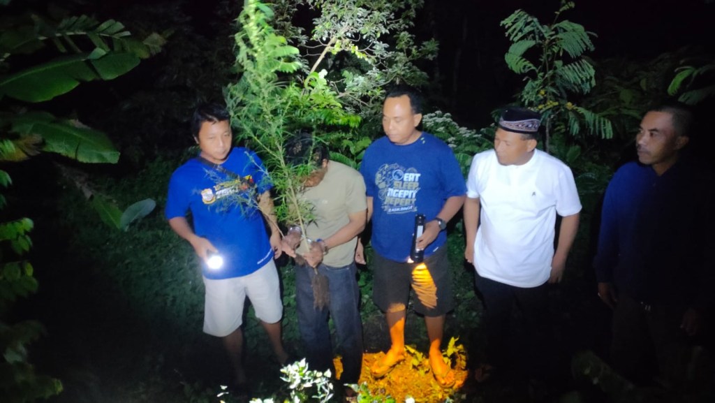 Tanam Batang Ganja di Rumah dan Ladang, 2 Warga Plosoklaten Kediri Diciduk&nbsp;Polisi