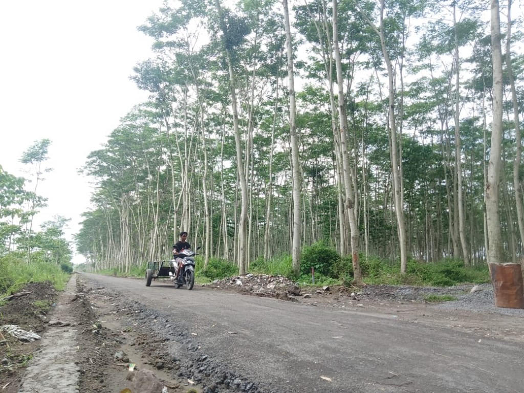 Progres Proyek Jalan Tembus 1.657 Meter TMMD ke-127 di Kediri Capai 60&nbsp;Persen