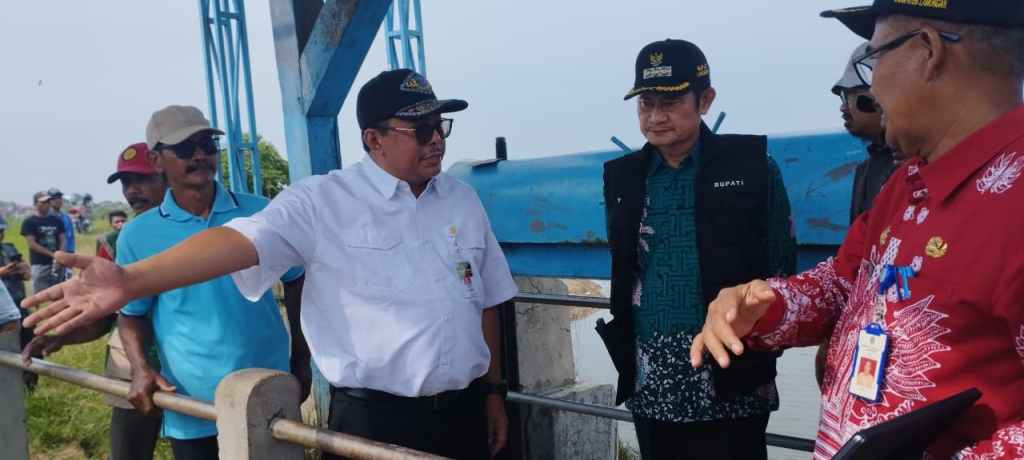 Kementan Siapkan Langkah Strategis Jaga Produktivitas Hasil Pertanian di&nbsp;Lamongan