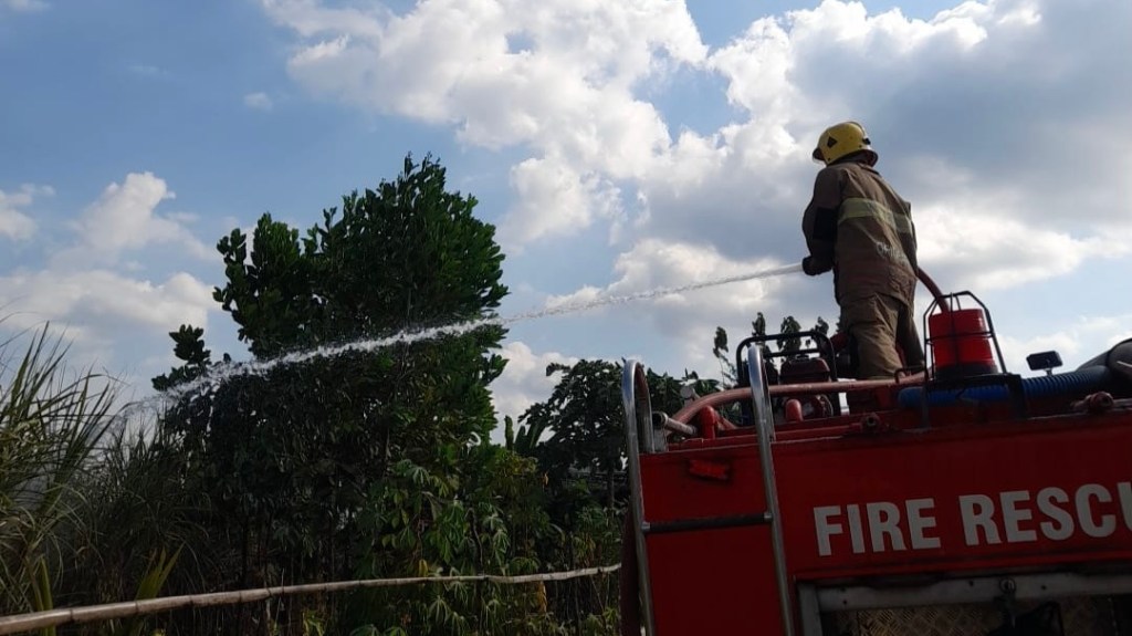 Petani Tebu di Kediri Tewas Terbakar Saat Diduga Membakar Sisa Daun&nbsp;Kering