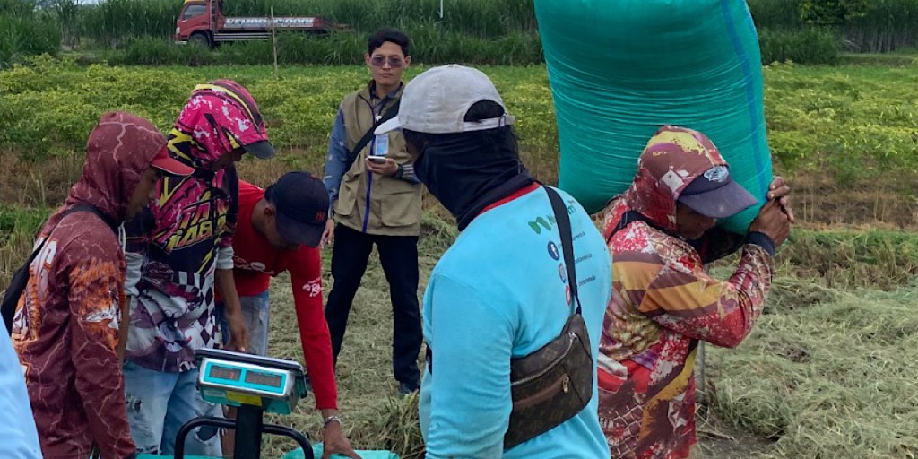 Serapan Gabah Bulog Kediri Lampaui Target, Tembus Setara 73.489 Ton&nbsp;Beras